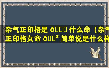 杂气正印格是 🐘 什么命（杂气正印格女命 🌳 简单说是什么样的）